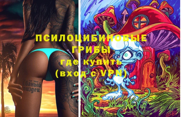 прущий лед Алексин