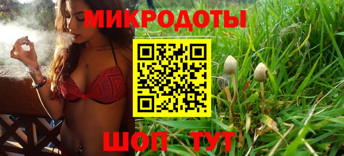 Евпатория  Галлюциногенные грибы Magic Shrooms  купить наркоту  Вход с VPN  Псилоцибиновые грибы мухоморы 